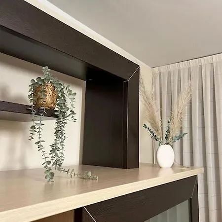 Apartamento Miranda *