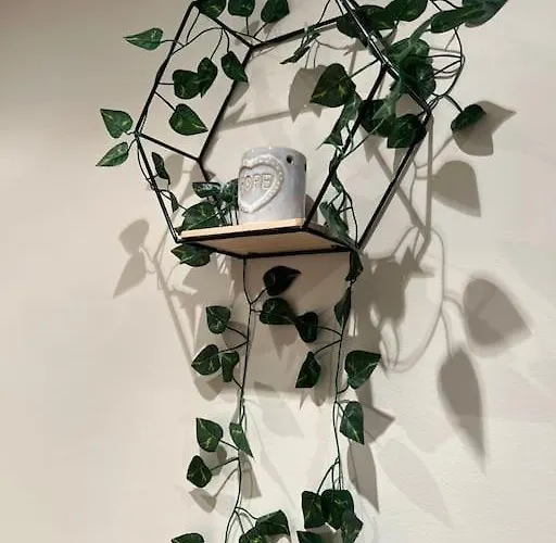 Miranda Villaviciosa (Asturias)