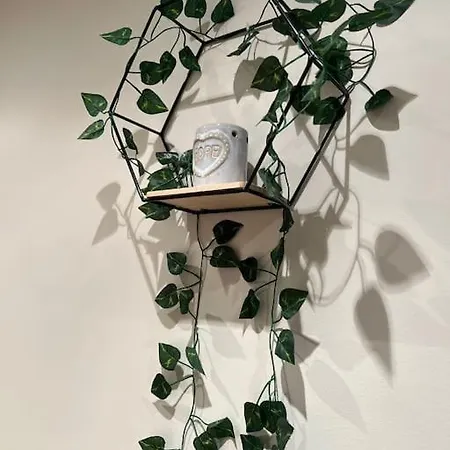 Miranda ビリャビシオサ